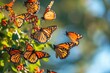 Captivating monarch butterflies during their migration, Spellbinding sight of monarch butterflies during their annual migration.