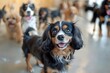 © Pixel Alchemist - Energetic Dogs Romping and Playing at a Vibrant Pet Daycare Center Under Attentive Staff Supervision