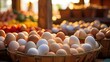 farm food eggs production