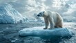 A solemn-looking polar bear gazing into the distance from a rapidly shrinking ice floe, symbolizing the uncertain future of Arctic species in the face of melting polar regions