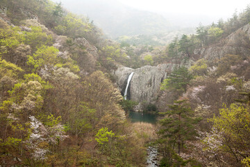 Sticker - waterfall in the mountains