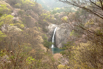 Canvas Print - waterfall in the mountains