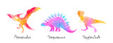 Fototapeta Mapy - Pteranodon, Stegosaurus, Ankylosaurus, Stygimoloch dinosaurs . Colorful silhouette watercolor painting style . Set 5 of 5 . Illustration .