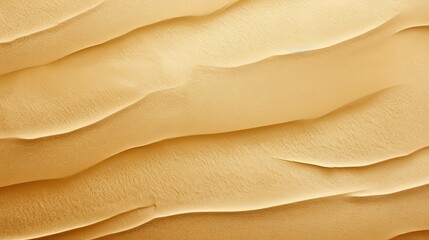 Wall Mural - metallic light gold texture