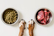 Different feeding methods with dog paws, bowls with dry food kibbles and chunk of raw meat on white background