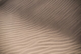 Fototapeta  - Fine texture on sand in a desert.
