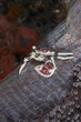Porcellanidae Porcelain crabs decapod crustaceans
