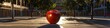 © keystoker - A large red apple resting on top of a sidewalk in a scholarly square, on Teachers Day. Banner. Copy space.