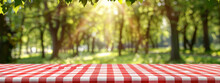 Red White Checkered Tablecloth Picnic BBQ Setting Green Trees Blurred Background Park