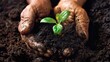A leaders hands covered in soil, planting a seed as a symbol of growth and investment in the future