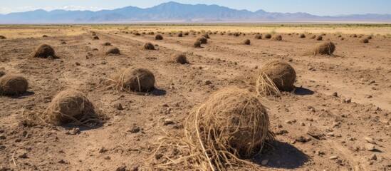 Poster - Lush field filled with golden hay bales with majestic mountains in the distant background