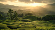 In the tranquil tea garden, the early spring sun casts a warm glow over the rolling hills. Generative AI.