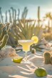 margarita cocktails standing in the desert sand with cactuses growing beside