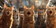The Feline Chorus A Cinematic Tale of Feline Harmony Generative AI