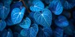 The Blue Leaf Heart A Visual Metaphor for Love and Nature Generative AI