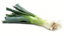 Fresh Green Leek Vegetable Isolated On Plain White Background For Versatile Culinary Use