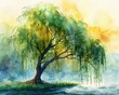 Watercolor a weeping willow, on a dynamic background that heightens the trees graceful appearance, summer motif