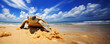 Turtle on the beach, panoramic banner. Generative Ai