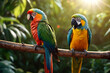 Two vibrant colorful parrots perched outdoors, showcasing on perch their colorful feathers in natural setting. Lovely color parrots on perch in nature. Tropical animal bird concept. Copy ad text space