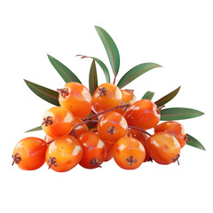 Wall Mural - Close up of orange berries and leaves