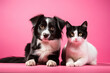Funny black and white cat and dog on a pink background, friendship concept. Generative Ai