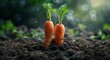 Nature's Gift The Growth of Carrots Generative AI