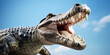 Crocodile alligator with an open jaws with sharp teeth, head close-up, against a background of blue sky, from a lower angle