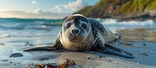 Seal's Curious Gaze A Close Encounter With Marine Life Generative AI