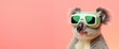 Portrait photorealistic of anthropomorphic fashion Koala in fashionable glasses isolated on solid peach beige background. Creative animal concept. Copy space. Banner.