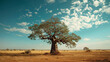 Mighty baobab tree standing as a solitary sentinel in the African savannah.