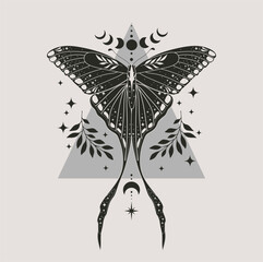 Wall Mural - Astrology vector illustration with moon moth. For you design, magic craft.