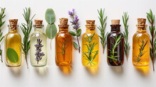 A Row Of Essential Oil Bottles With Natural Herbs And Flowers On A White Background, Showcasing Organic Aromatherapy Ingredients.