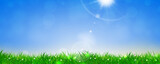 Fototapeta  - fresh green spring banner