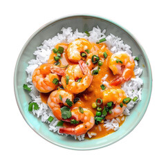 Wall Mural - Bowl of shrimp and rice with sauce