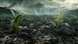 Plants' Resilient Struggle for Growth in Overly Acidic Soil