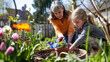 Senior lady and young girl planting flowers in the garden on a bright day.