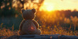 Teddy bear sits and watches the sunset, offering ample copy space. The warm sunshine lights up the atmosphere, captured in stunning 8k resolution. AI generative elements enhance realism.