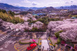 Cherry blossoms blooming in spring at E-World 83 Tower a popular tourist destination. in Daegu,South Korea.