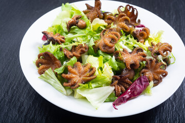 Canvas Print - Salad with Baby octopus fried