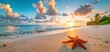 Starfish on the beach at sunset with a beautiful sky and tropical palm trees. A summer vacation concept scene.