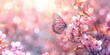 Beautiful spring nature background with butterfly and blooming cherry tree flowers, blurred pastel colors bokeh light background