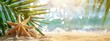Beautiful summer background with starfish and palm leaves on the beach, copy space for text, banner design, blurred bokeh effect,