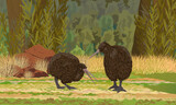 Fototapeta Dinusie - A pair of kiwi birds walks through a meadow with stones and grass. Wildlife of New Zealand. Realistic vector landscape