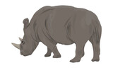 Fototapeta Dinusie - African white rhinoceros. Realistic vector animal