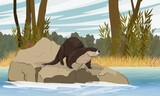Fototapeta Dinusie - A river otter stands on a rock sticking out of the water. Lake Shore. Eurasian otter Lutra lutra. Realistic vector landscape