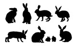 Fototapeta Dinusie - Set of silhouettes of realistic European hare or brown hare. Adult Lepus europaeus hares and their young. Vector animal