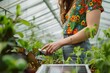 Focused gardener nurturing plants in a greenhouse with care