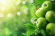 Green apple tree with ripe, juicy apples amidst fresh foliage, embodying nature's bounty and wholesome goodness