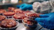 petri dishes filled with packed meat steaks meticulously arranged on a laboratory table