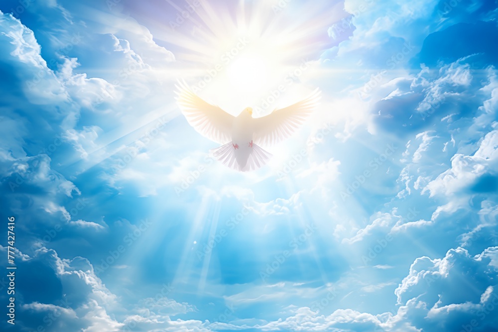 Holy Spirit dove is flying in clear blue sky, beautiful sun rays shine ...